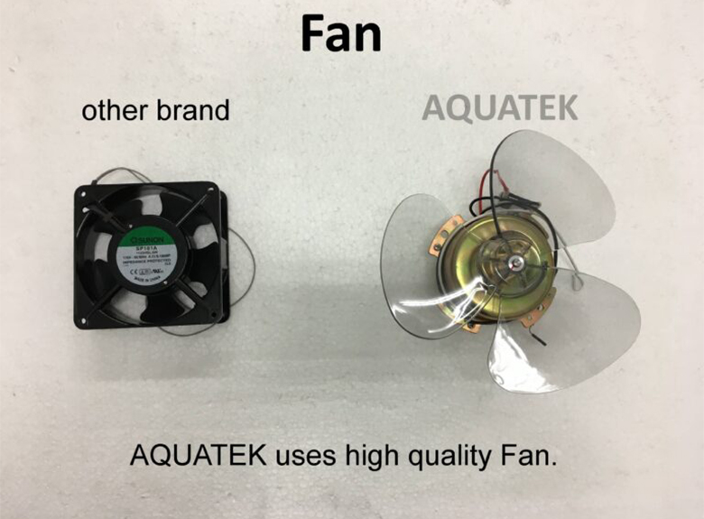 Fan